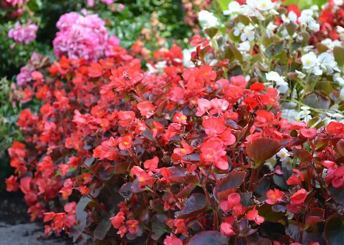 فندق Principe 3*